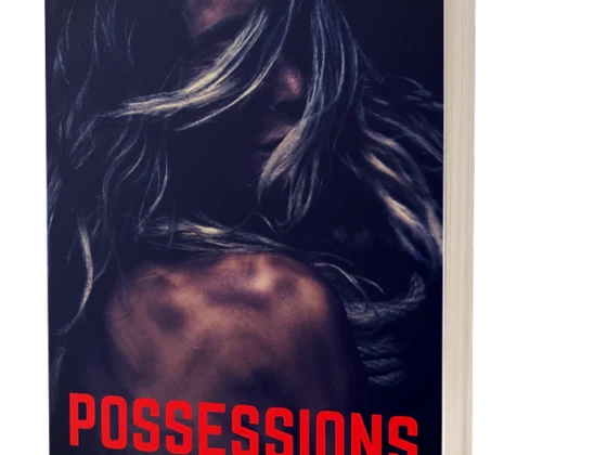 Book cover photo of K.R Jones' Possessions, book one in the MSMI Series.