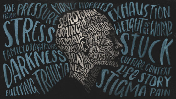 Depression in Bipolar Disorder: What You Need to Know on Bipolar & Beyond by K.R Jones
