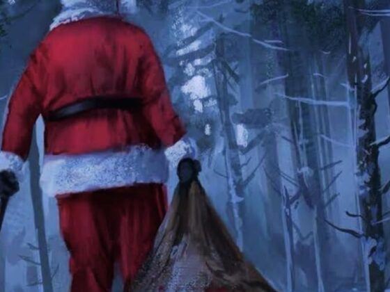 Book cover of Secret Santa by K.R Jones.